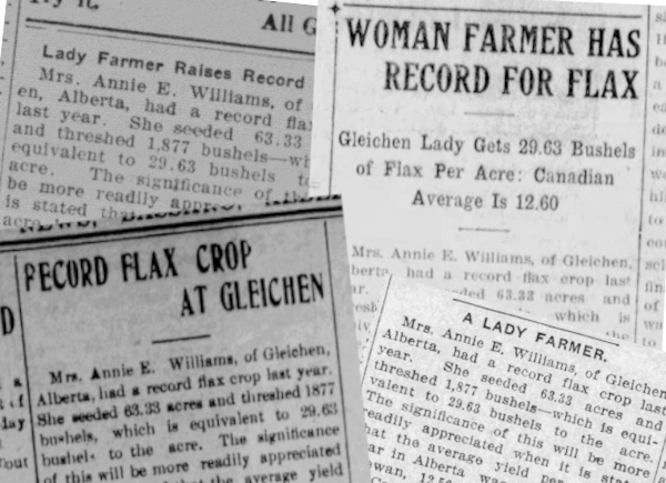 A montage of newspaper articles with the headlines "Lady farmer raises record crop", "Record flax crop at Gleichen", Woman farmer has record for flax", and "A lady farmer"